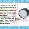 Percusión