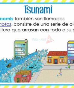 Desastres tsunami