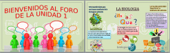 Una colorida infografía educativa con el título 