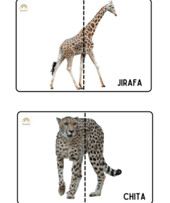 La imagen superior muestra media jirafa a la izquierda y la otra mitad a la derecha con la palabra 