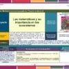 Planeaciones 1° de Telesecundaria NEM (Proyectos 2026 – 2027) Ciclo Completo 13 Un cartel educativo titulado