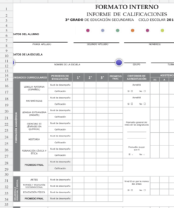 formato editable de reporte de evaluacion en excel