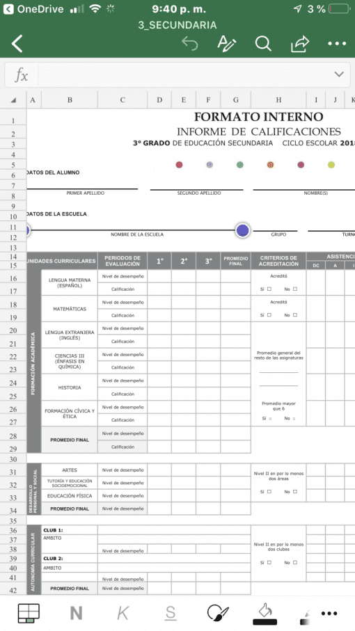 formato editable de reporte de evaluacion en excel