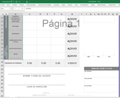 Una captura de pantalla de una Boleta Editable de 1ro de Secundaria con múltiples columnas y filas llenas en español, indicando categorías como nivel educativo "Educación Secundaria", tecnología y geografía, con ciertas celdas que contienen el texto "#div/0!".