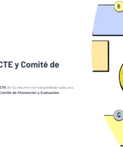 21 Funciones del CTE y Comite de Planeacion