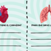 Mi increíble cuerpo humano 9 27 3