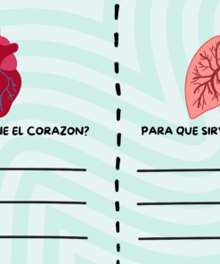 Mi increíble cuerpo humano 9 27 3
