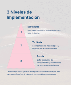 27 3 Niveles de Implementacion