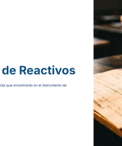 28 Formatos de Reactivos