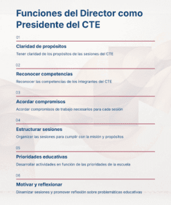 29 Funciones del Director como Presidente del CTE