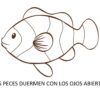 2cbb4d3f567cca42245e3168147d3795 2