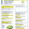 2° Grado Evaluacion 1er Periodo page 0002