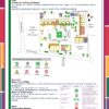 Planeación (Proyectos de Junio) Segundo Grado Primaria NEM 2026 15 Infografía titulada