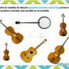 Actividades de la música