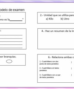 Actividades