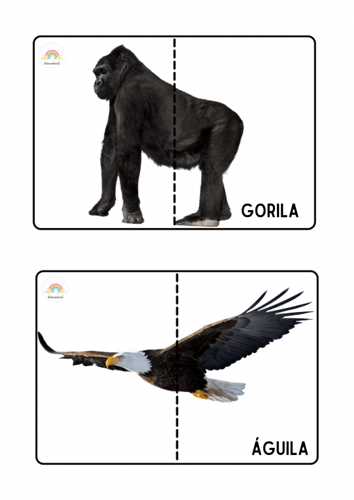 La imagen se divide en dos secciones. La sección superior muestra un gorila en el lado izquierdo de una línea discontinua, con la palabra "GORILA" debajo. La sección inferior muestra un águila en pleno vuelo en el lado izquierdo de una línea discontinua, con la palabra "ÁGUILA" debajo. Es como un Rompecabezas de animales salvajes.
