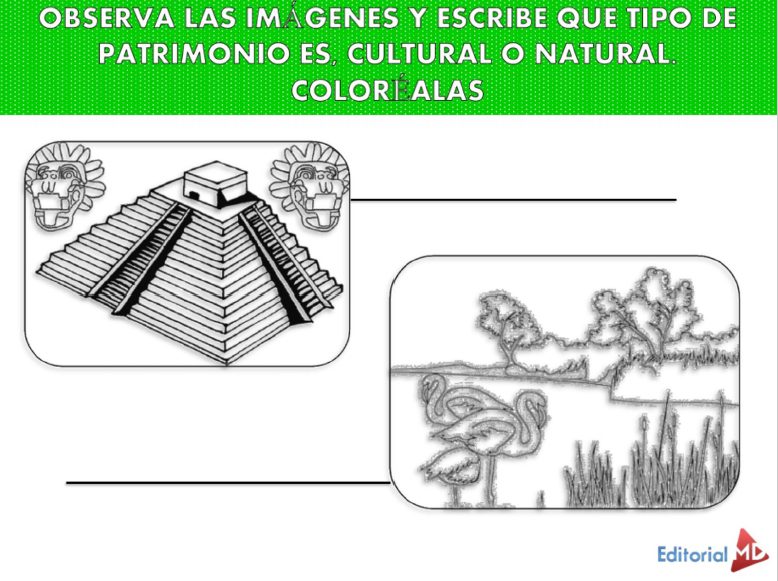 ejemplo actividades