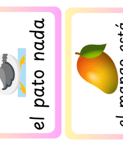 Dos flashcards: una con un pato de dibujos animados nadando y el texto 