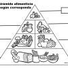 Actividades piramide