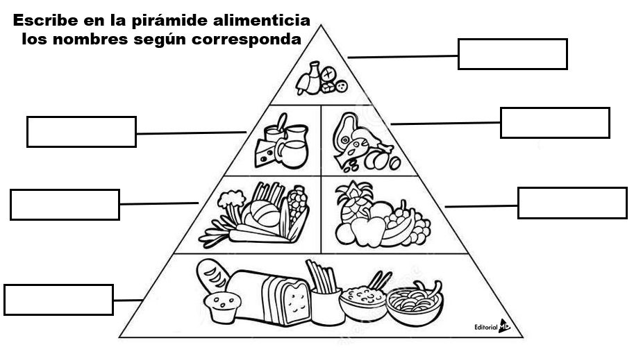 Pirámide alimenticia para niños de Primaria | 2020