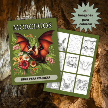 Un libro para colorear titulado "Morcegos" con una ilustración de un murciélago rodeado de flores en la portada. Una página abierta muestra bocetos de murciélagos. El fondo muestra el interior de una cueva. El texto dice "30 imágenes para colorear".
