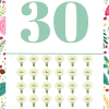 31