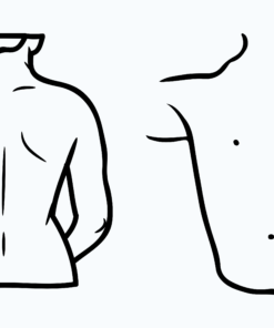 Mi increíble cuerpo humano 10 31 5