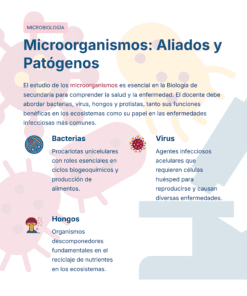 Una infografía educativa titulada 