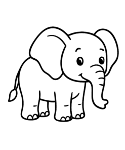 34 20260223 201339 0000