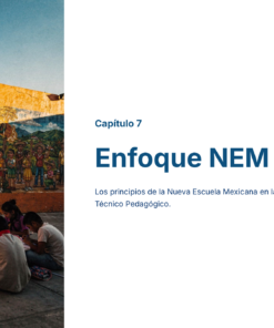 39 Enfoque NEM Aplicado