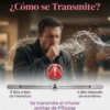 Proyecto “Nos informamos para prevenir ¡El Sarampión!” PRIMARIA NEM (2026-2027) 70 Vista previa 35 de Proyecto “Nos informamos para prevenir ¡El Sarampión!” PRIMARIA NEM (2026-2027)