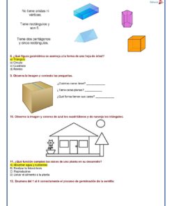 3° Grado Evaluacion 2do Periodo Pagina 4