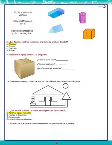 3° Grado Evaluacion 2do Periodo Pagina 4