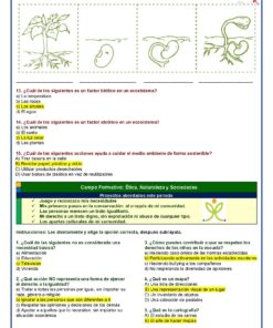 3° Grado Evaluacion 2do Periodo Pagina 5