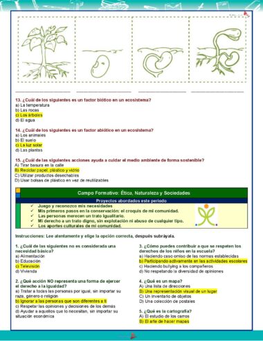 3° Grado Evaluacion 2do Periodo Pagina 5