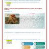 3° Grado Examen 2do Trimestre page 0008