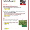 3° Grado Examen 2do Trimestre page 0011