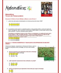 3° Grado Examen 2do Trimestre page 0011