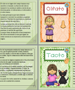 Cuatro paneles que muestran a niños, cada uno de los cuales ilustra un sentido diferente: el oído con un niño escuchando música, el olfato con una niña oliendo una flor, la vista con una niña con anteojos y mirando una mariposa, y el tacto de Mi Primer Clase De Biología (Primaria)