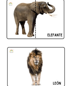 Dos imágenes, cada una de las cuales muestra la mitad frontal de un animal: la imagen superior tiene un elefante con la etiqueta 