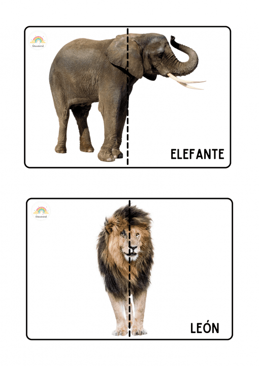 Dos imágenes, cada una de las cuales muestra la mitad frontal de un animal: la imagen superior tiene un elefante con la etiqueta "ELEFANTE" y la imagen inferior tiene un león con la etiqueta "LEÓN". Ambas imágenes están divididas por la mitad por una línea vertical, creando un divertido Rompecabezas de animales salvajes.