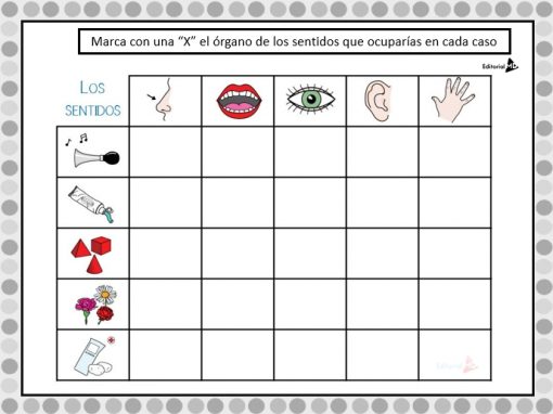 Actividades de los 5 sentidos