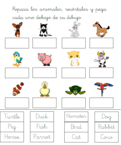 El libro de vocabulario inglés (Libro de vocabulario inglés, 5-7 años) incluye hojas de actividades con dibujos de doce animales y etiquetas de palabras en inglés para unir y pegar: ideal para aprender los nombres de los animales y practicar vocabulario.