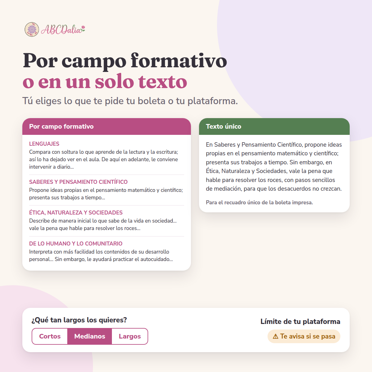 Generador automático de observaciones y sugerencias para la boleta · Primaria 1º a 6º · NEM · Excel 3 Comparación de los formatos «Por campo formativo» y «Texto único» para informes educativos con diferentes opciones de extensión y plataforma.