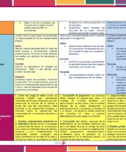 4. ¡El microcosmos siempre sorprendente 3 Proyectos Pagina 5