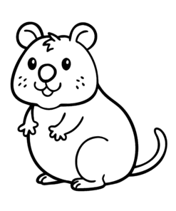 41 20260223 201339 0003