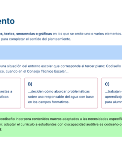 43 FORMATO 2