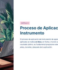 47 Proceso de Aplicacion del Instrumento