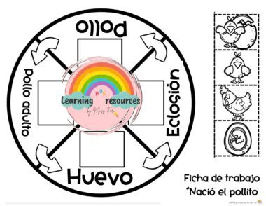 UNIDAD DIDACTICA EL CICLO DE LA VIDA - Image 5