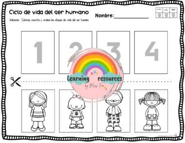 UNIDAD DIDACTICA EL CICLO DE LA VIDA - Image 2